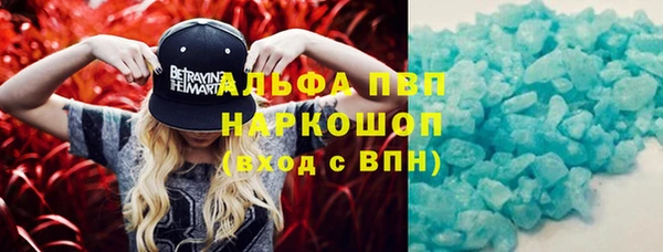 индика Арсеньев