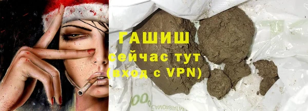 индика Алзамай