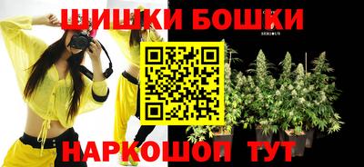 ешки Камышлов