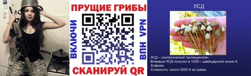 Галлюциногенные грибы мицелий Сыктывкар