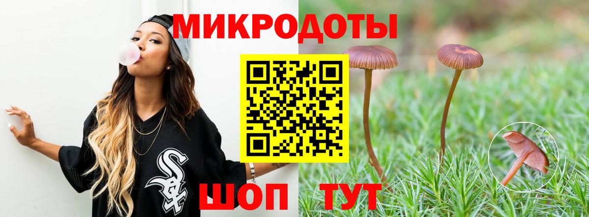 Псилоцибиновые грибы мицелий Сыктывкар